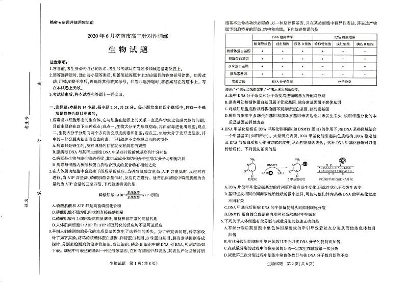 2020年6月济南市高三针对性训练生物试题第1页