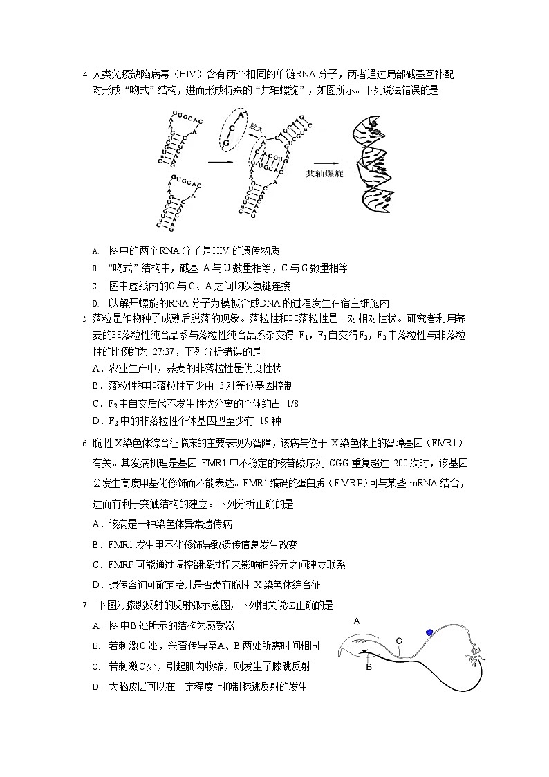 2023年沈阳市高三三模生物试题含答案解析第2页