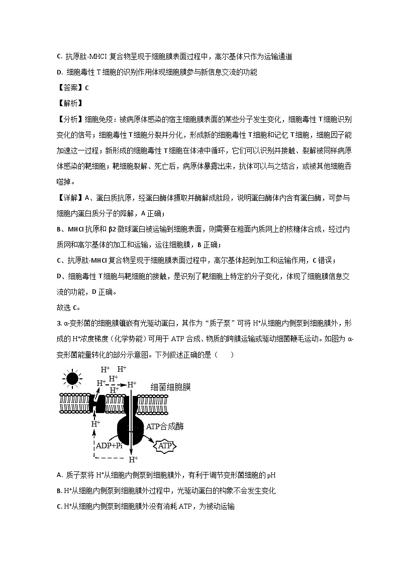 山东省聊城市2023届高三生物下学期第二次模拟考试试题 （Word版附解析）02