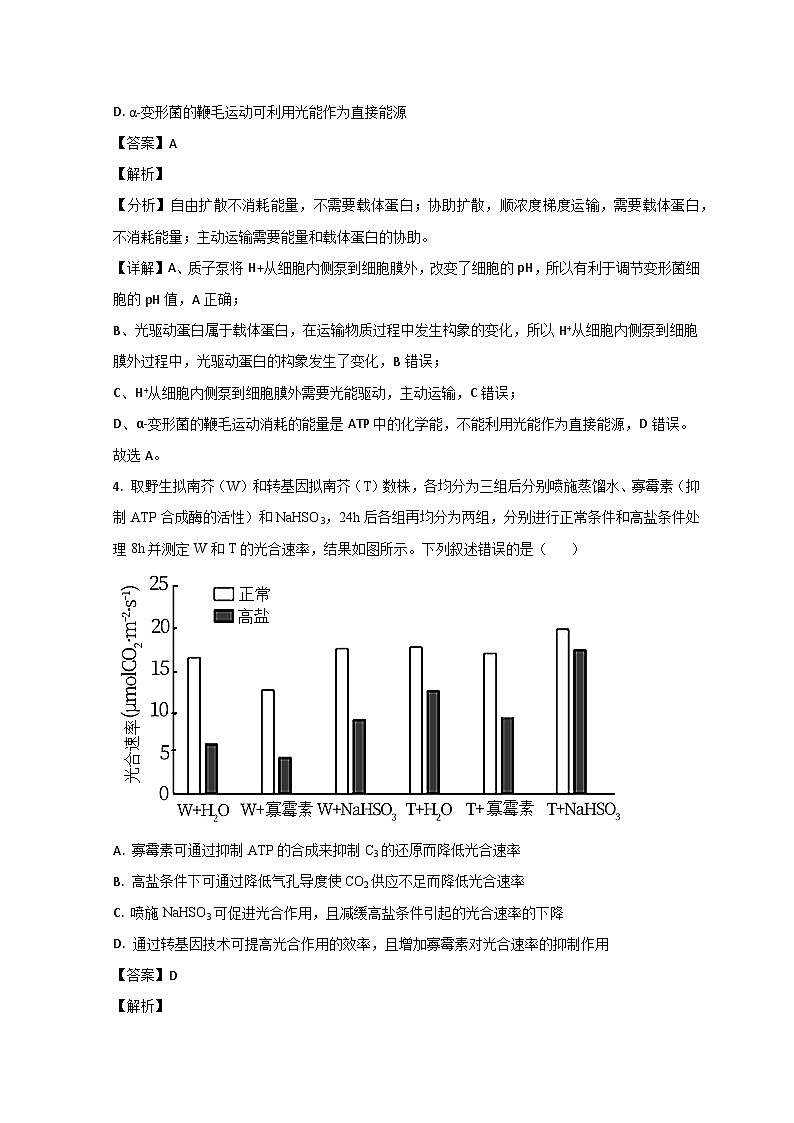 山东省聊城市2023届高三生物下学期第二次模拟考试试题 （Word版附解析）03