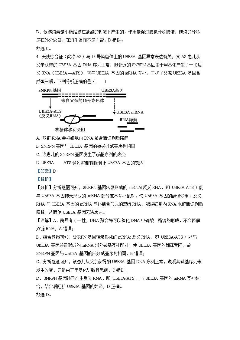 黑龙江省哈尔滨市九中2022-2023学年高三生物三模试卷（Word版附解析）第3页