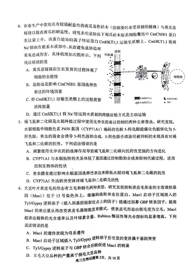 2023届山东省威海市高三第二次模拟考试生物试卷+答案02