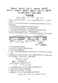 2023届湖北省黄冈中学十一校高三下学期第二次联考生物试卷 PDF版