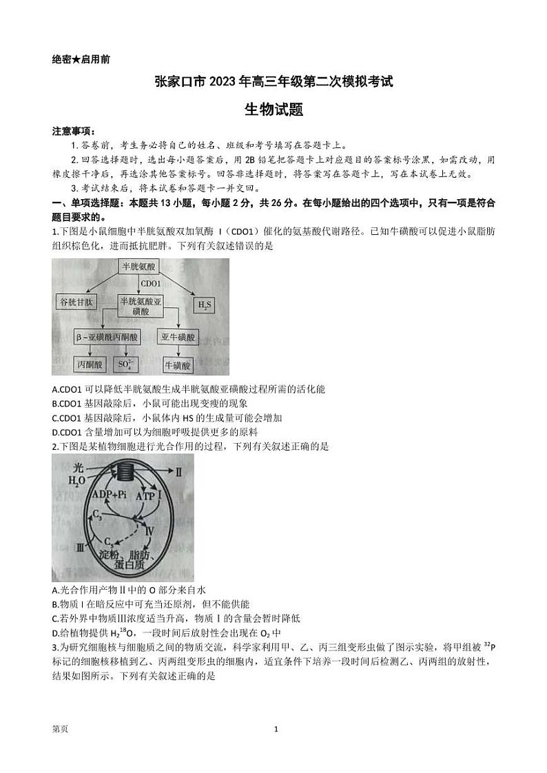 2023届河北省张家口市高三下学期高考二模生物试卷（PDF版）01