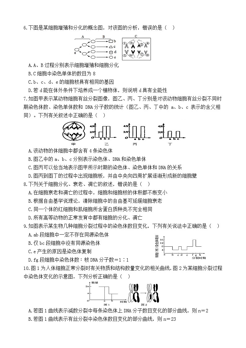四川省射洪中学2022-2023学年高一下学期5月月考试题生物（Word版附答案）第2页