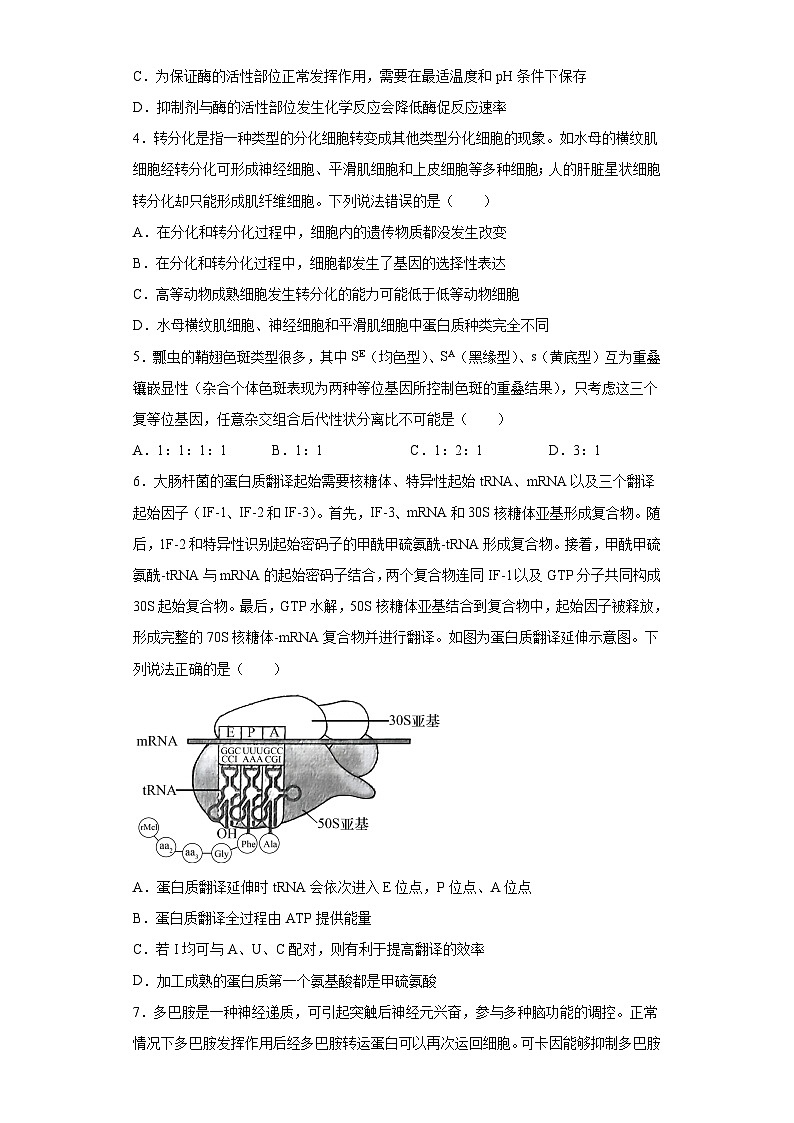 2023届山东省潍坊市四县高三5月模拟生物试题（含答案）02