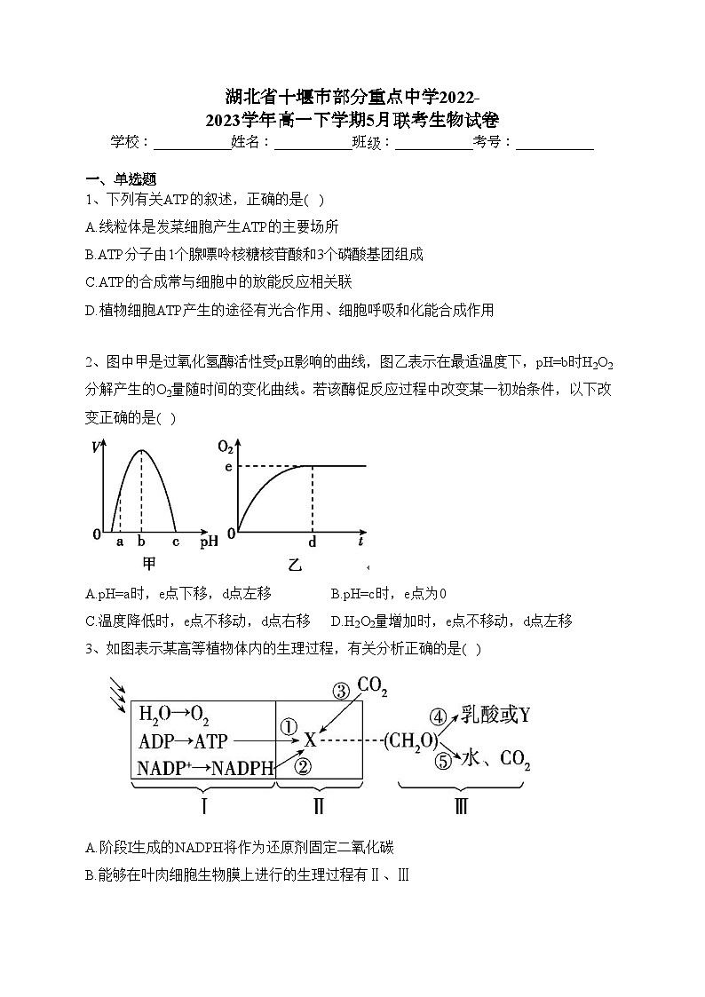 湖北省十堰市部分重点中学2022-2023学年高一下学期5月联考生物试卷（含答案）01