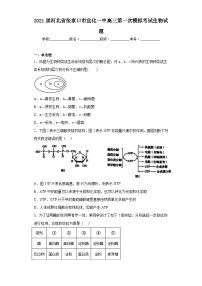 2021届河北省张家口市宣化一中高三第一次模拟考试生物试题（含解析）