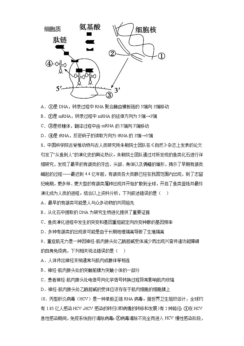 湖南省株洲市攸县三中等多校2022-2023学年高三下学期学业水平选择性考试生物试题（含解析）第3页