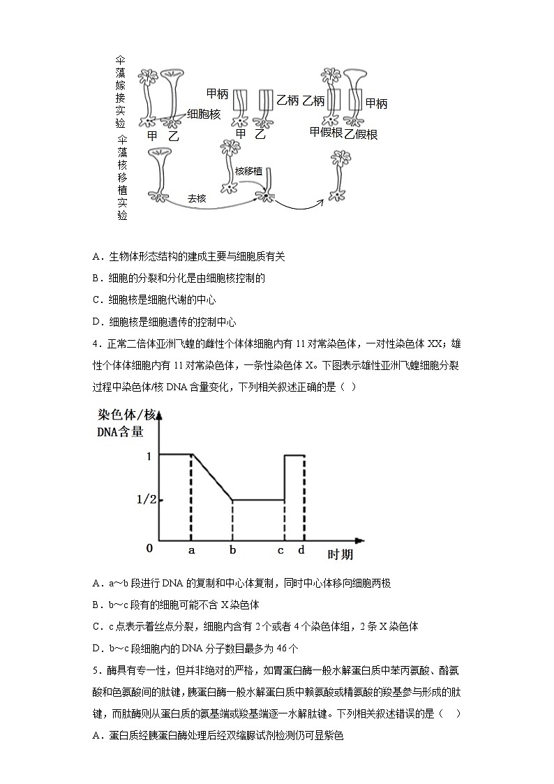 2023届海南华侨中学高三下学期第四次模拟考试生物试题（含解析）02