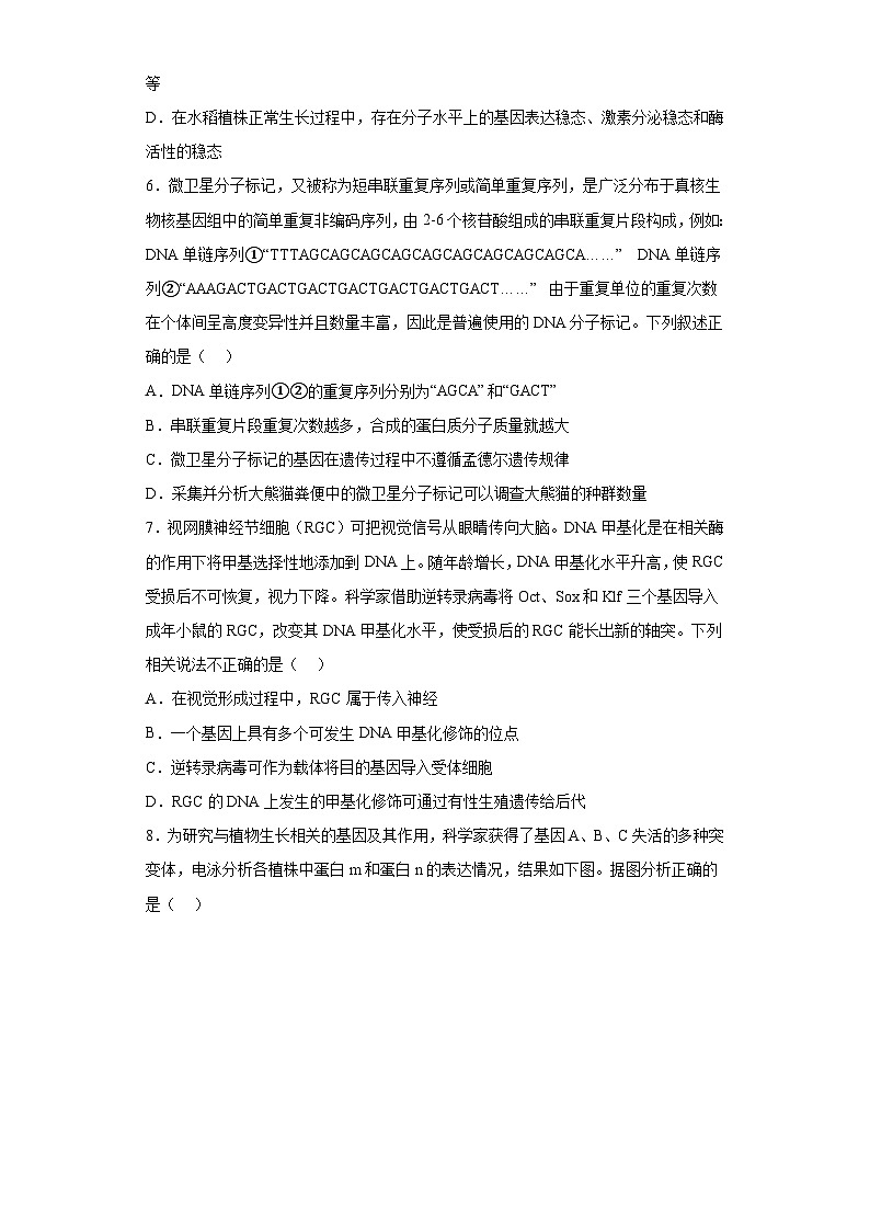 2023届湖北省新高考联考协作体普通高等学校招生全国统一考试模拟生物试题（三）（含解析）03