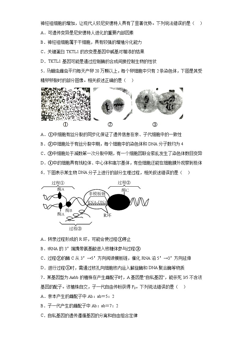 2023届江苏省连云港市高考考前模拟生物试题(含答案)第2页