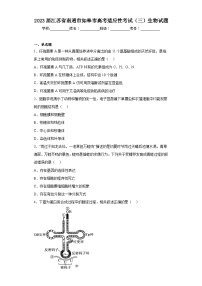 2023届江苏省南通市如皋市高考适应性考试（三）生物试题(含答案)