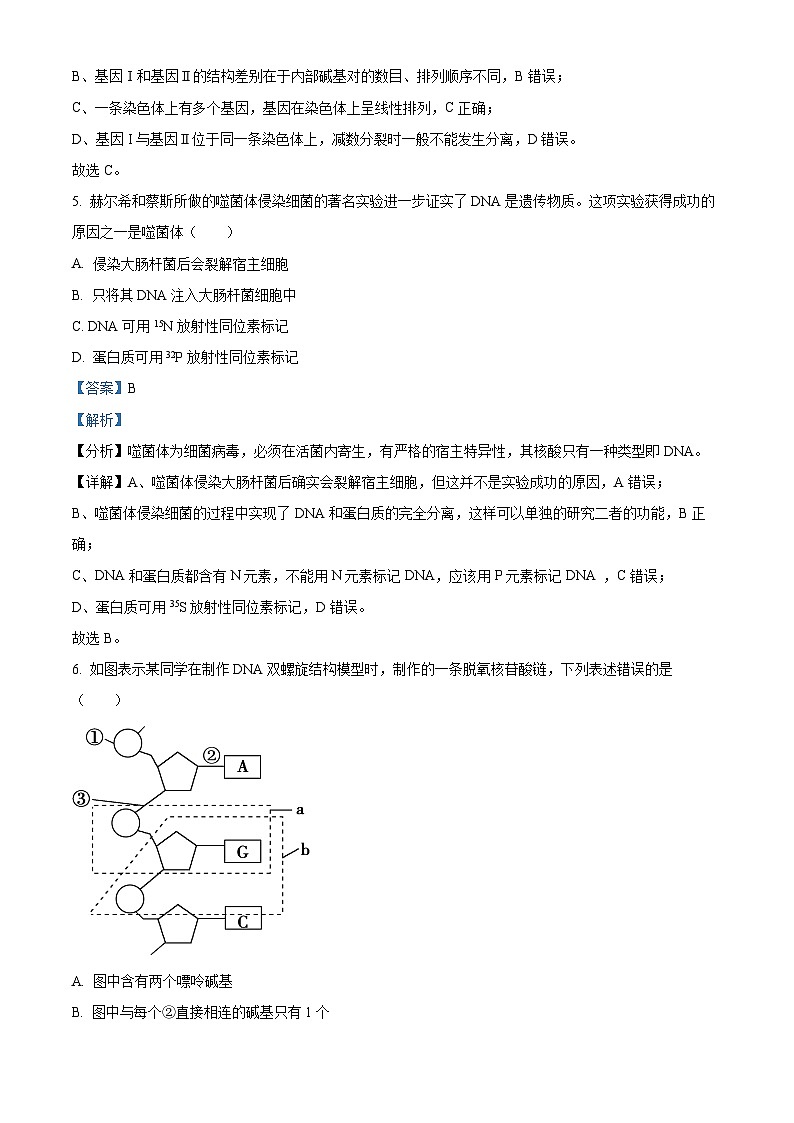 浙江省宁波效实中学2022-2023学年高一生物下学期期中（选考）试题（Word版附解析）03