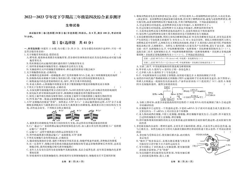 河北省衡水中学2022—2023学年度下学期高三年级第四次综合素养测评生物试题01