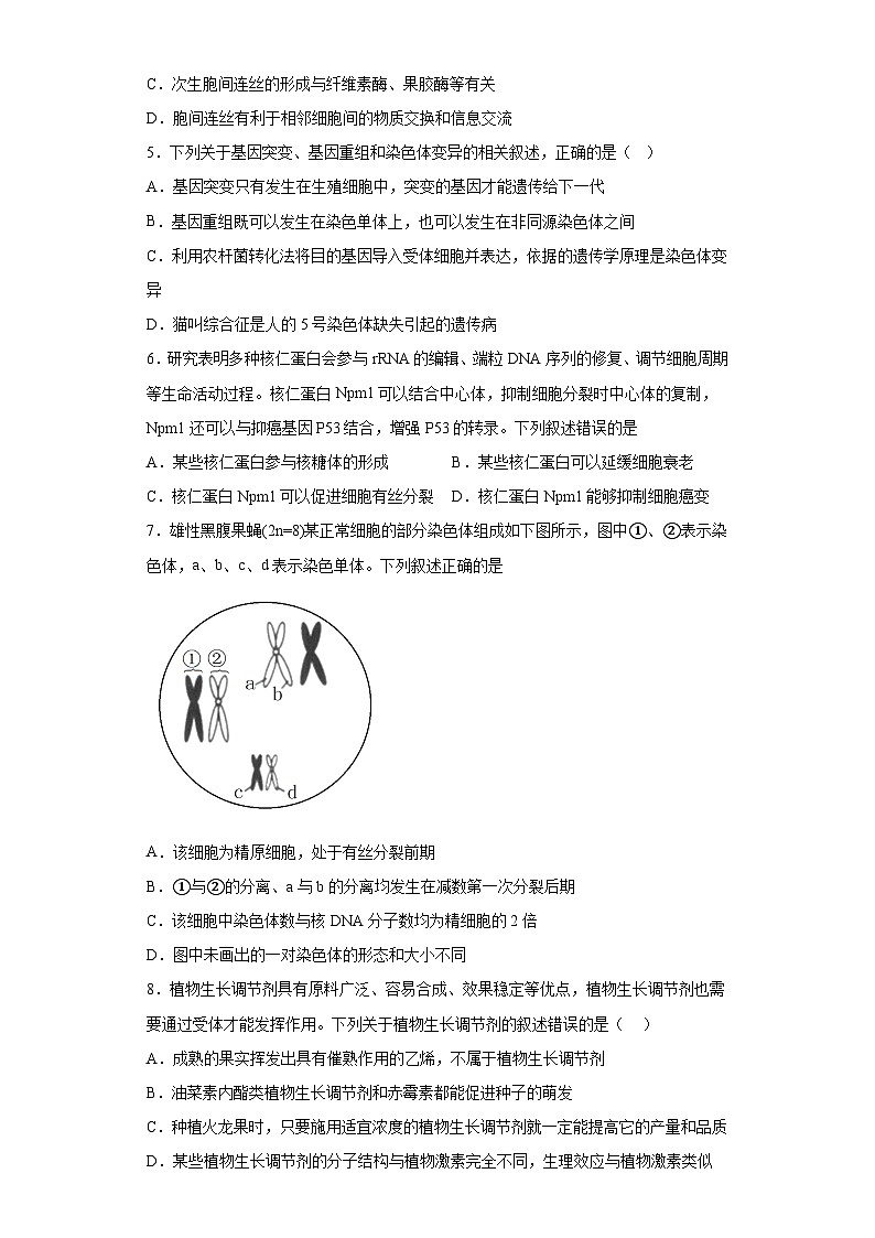 2023届海南省海口市海南中学高三二模生物试题（含解析）02