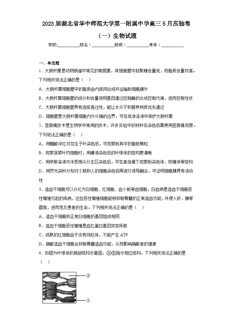 2023届湖北省华中师范大学第一附属中学高三5月压轴卷（一）生物试题（含解析）01