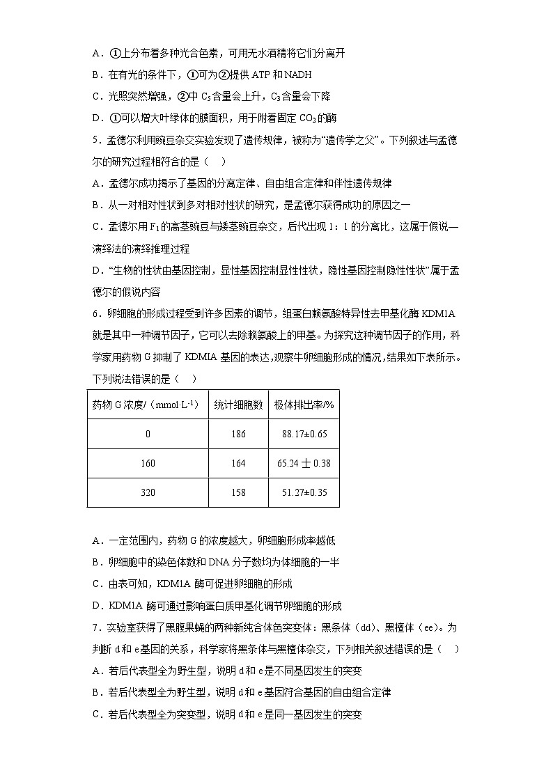 2023届湖北省华中师范大学第一附属中学高三5月压轴卷（一）生物试题（含解析）02