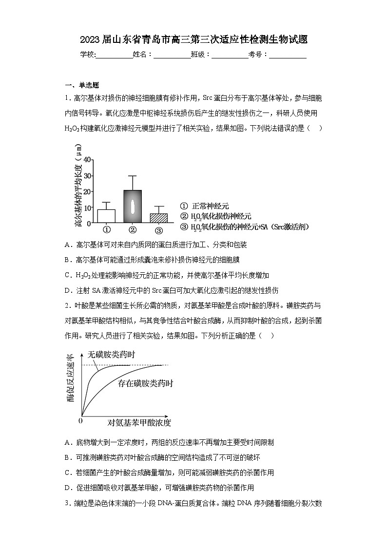 2023届山东省青岛市高三第三次适应性检测生物试题（含解析）第1页