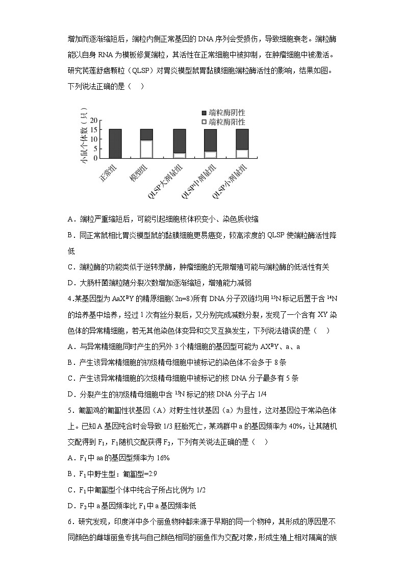 2023届山东省青岛市高三第三次适应性检测生物试题（含解析）第2页