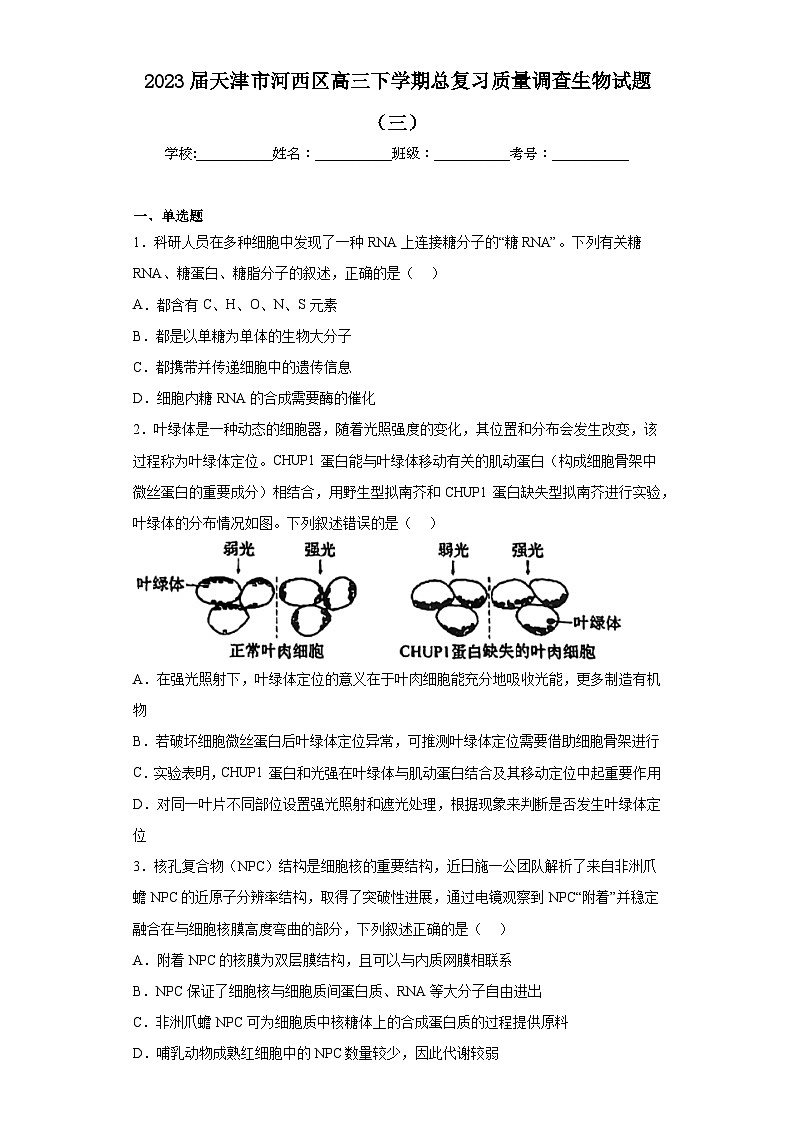 2023届天津市河西区高三下学期总复习质量调查生物试题（三）（含解析）第1页