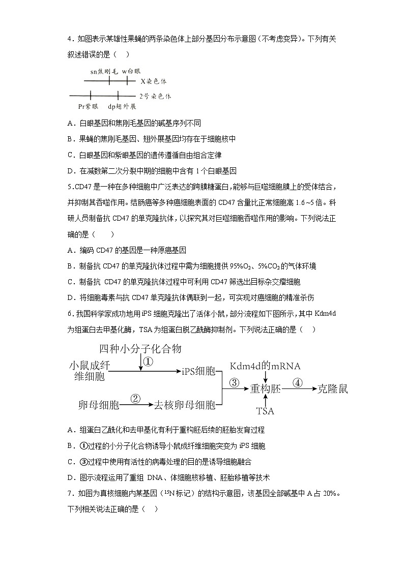 2023届天津市河西区高三下学期总复习质量调查生物试题（三）（含解析）第2页
