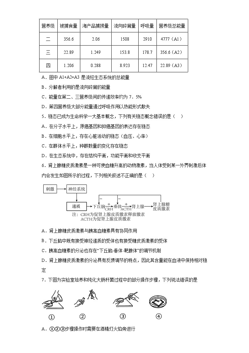2023届天津市耀华中学高三第一次模拟考试生物试题（含解析）02