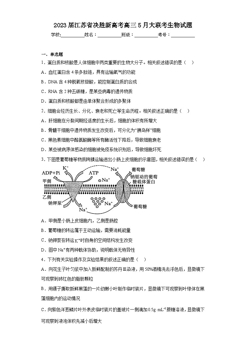 2023届江苏省决胜新高考高三5月大联考生物试题（含解析）第1页