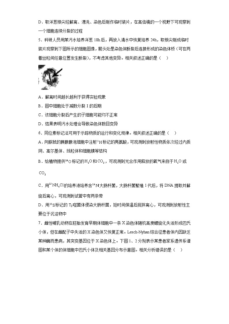 2023届江苏省决胜新高考高三5月大联考生物试题（含解析）第2页