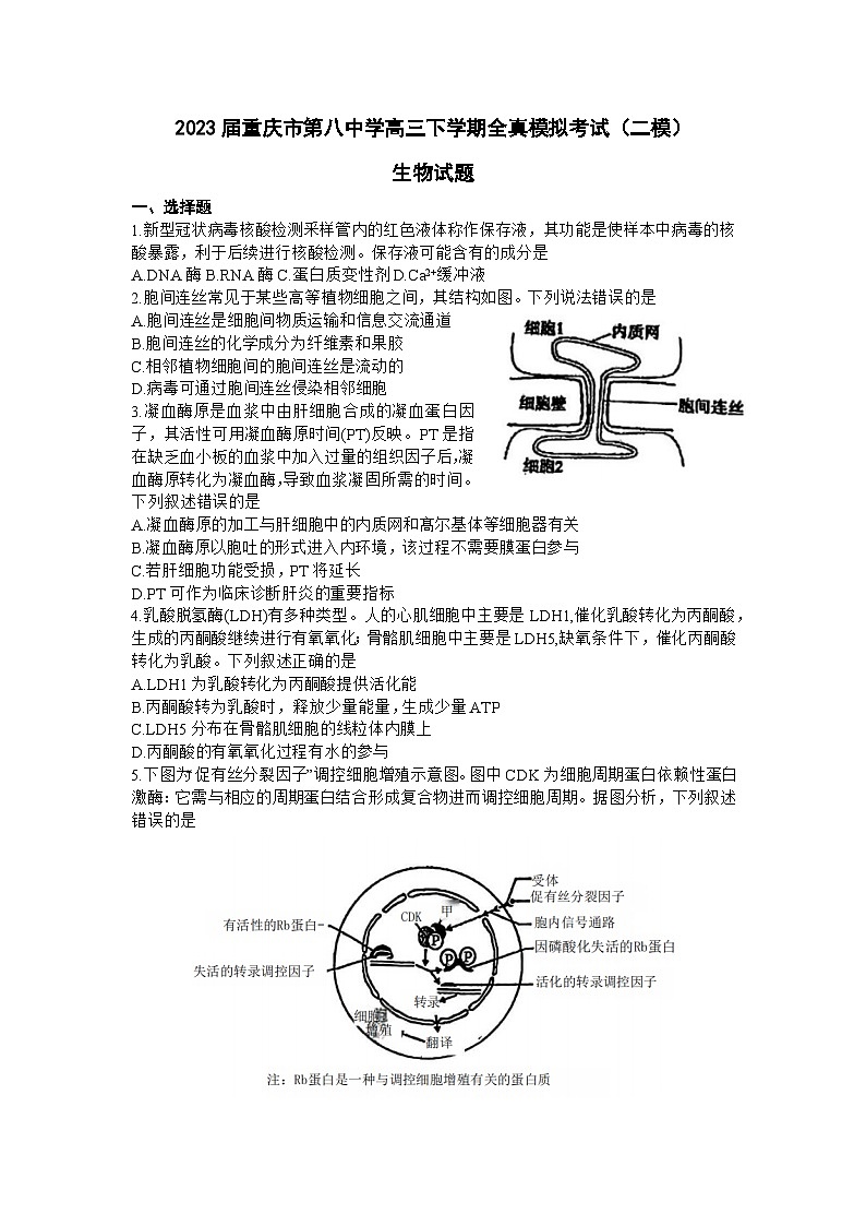 2023届重庆市第八中学高三下学期全真模拟考试（二模）生物试题及答案01