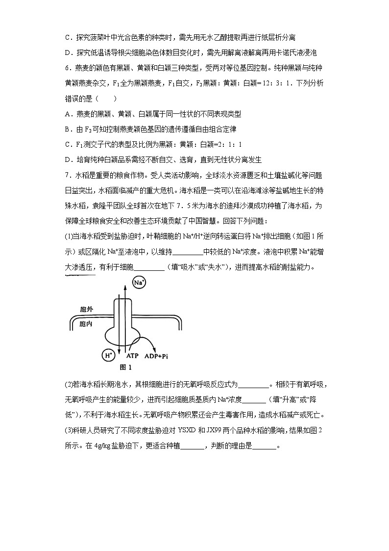 2023届山西省大同市高三三模l理综生物试题（无答案）02