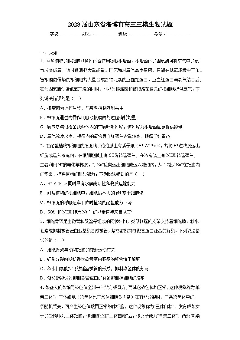 2023届山东省淄博市高三三模生物试题（无答案）01
