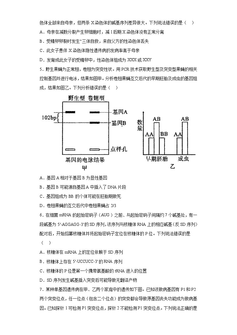 2023届山东省淄博市高三三模生物试题（无答案）02