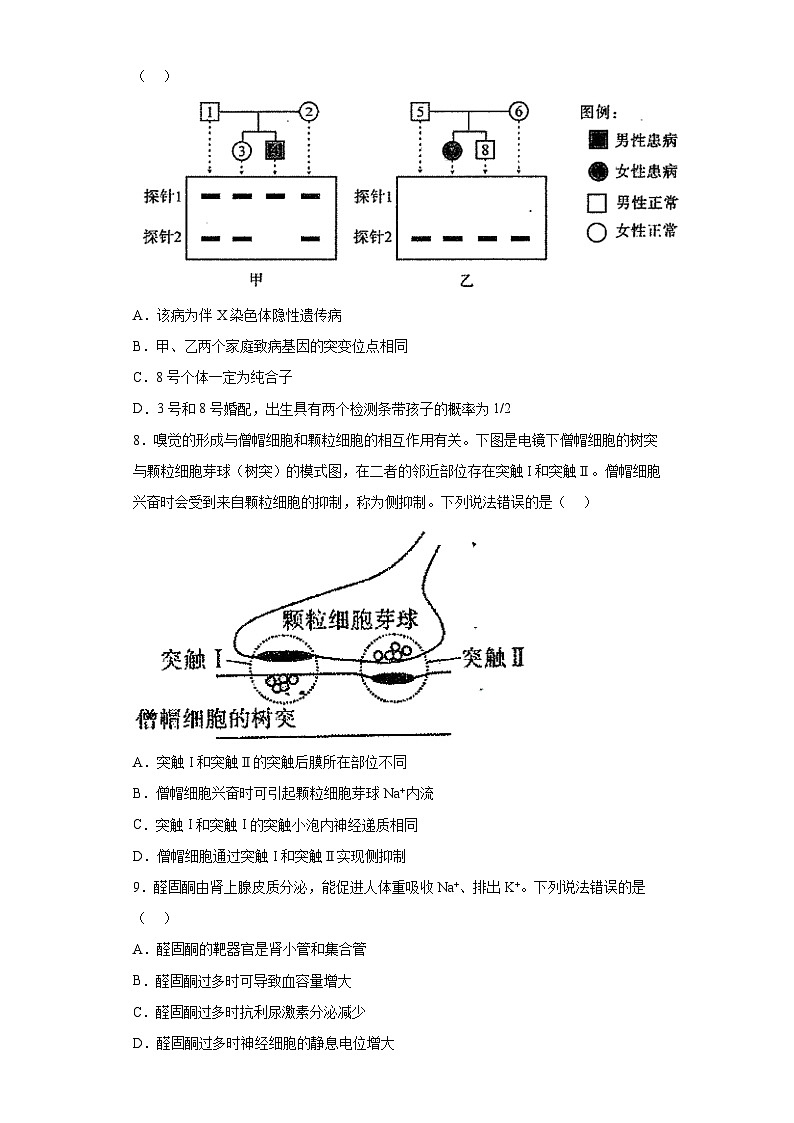 2023届山东省淄博市高三三模生物试题（无答案）03