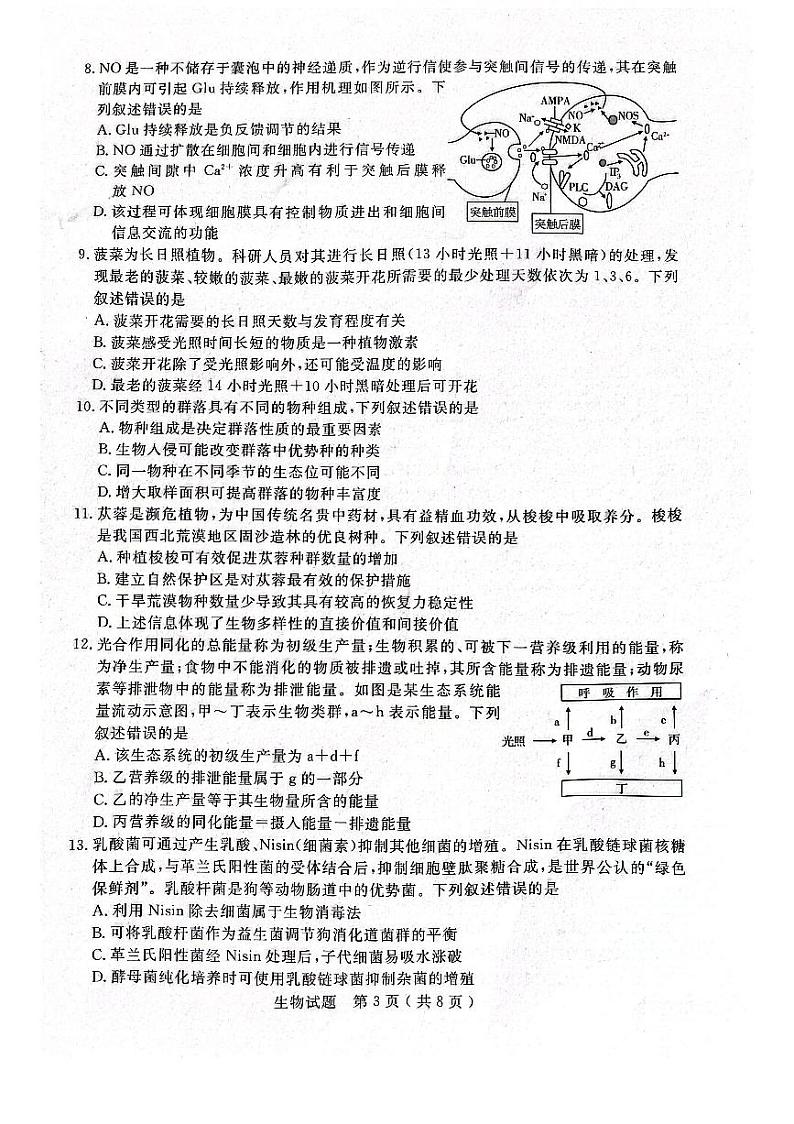 2023届山东省济宁市高三第三次模拟生物试卷第3页