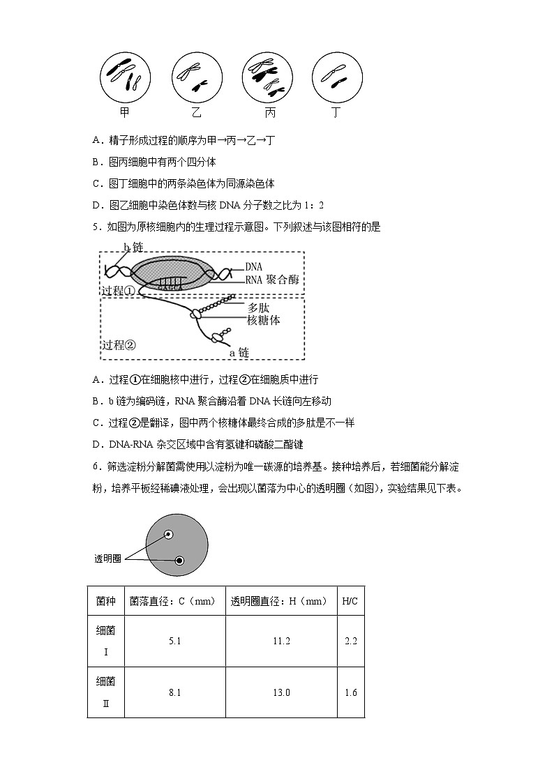 2023届天津市益中学校高考考前模拟测试生物试题（含解析）02