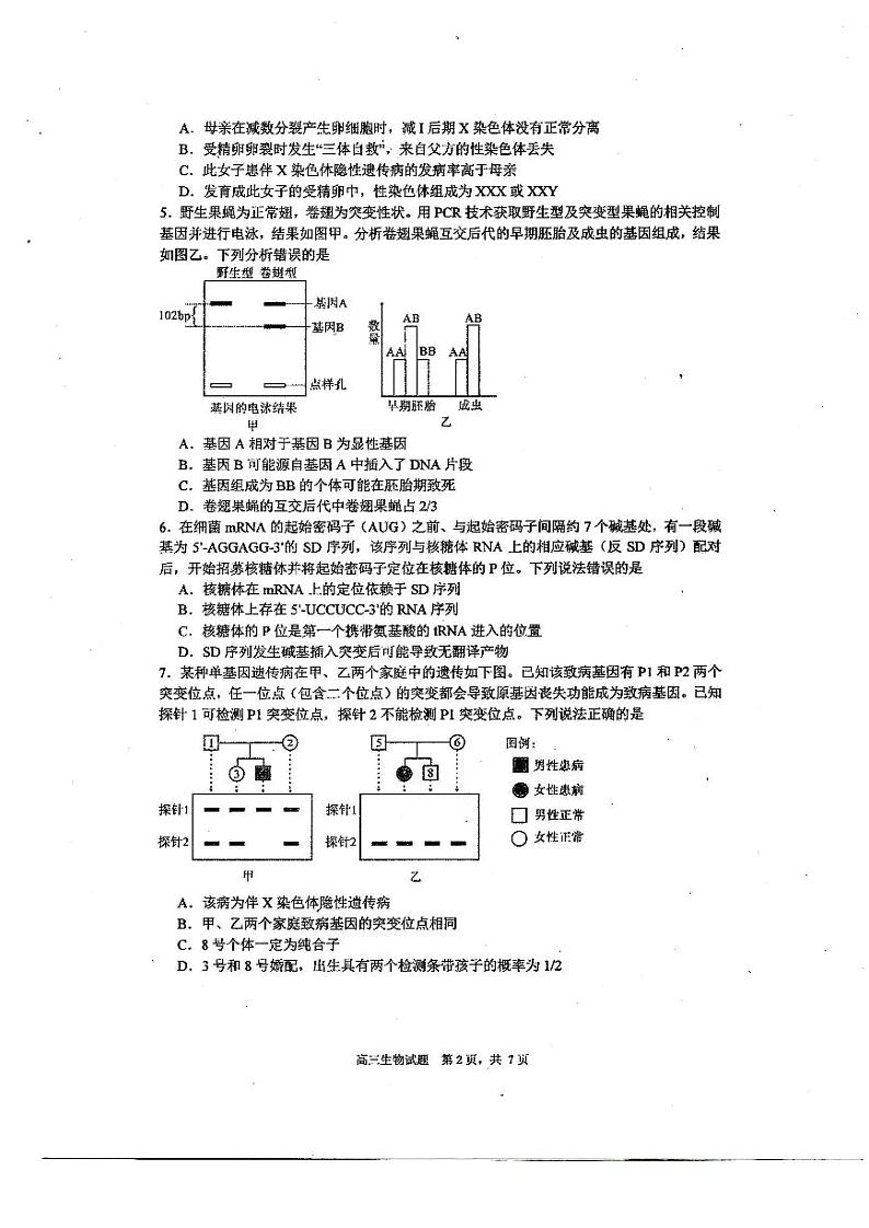 2023届山东省淄博市高三三模生物试题02