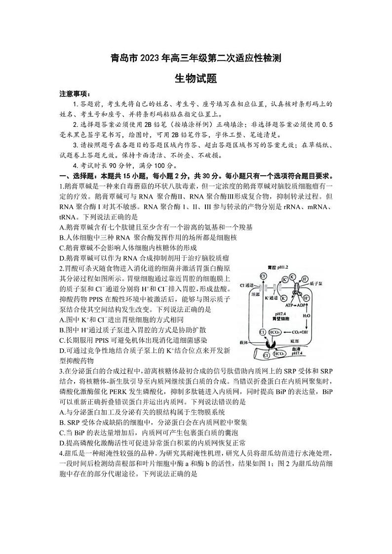 2023届山东省青岛市高三下学期第二次适应性检测（二模）生物 PDF版01
