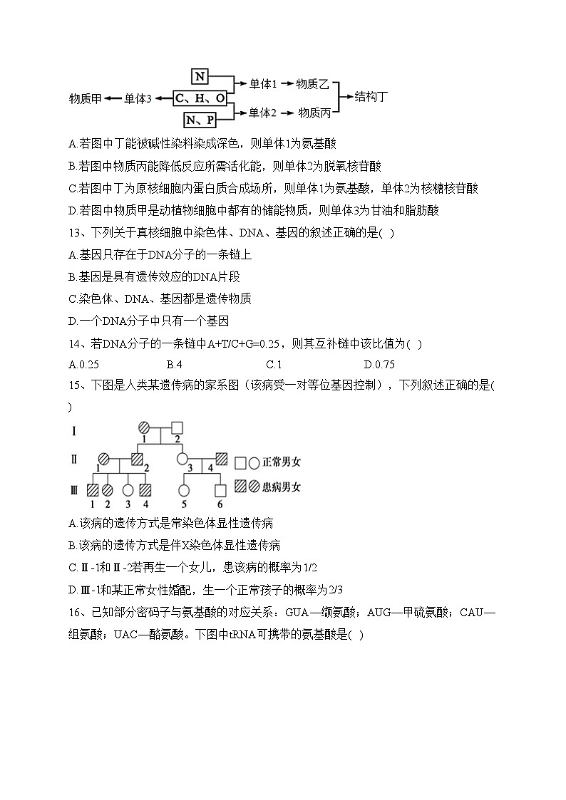 北京市2023年普通高中学业水平合格性考试仿真模拟（2）生物试卷（含答案）第3页