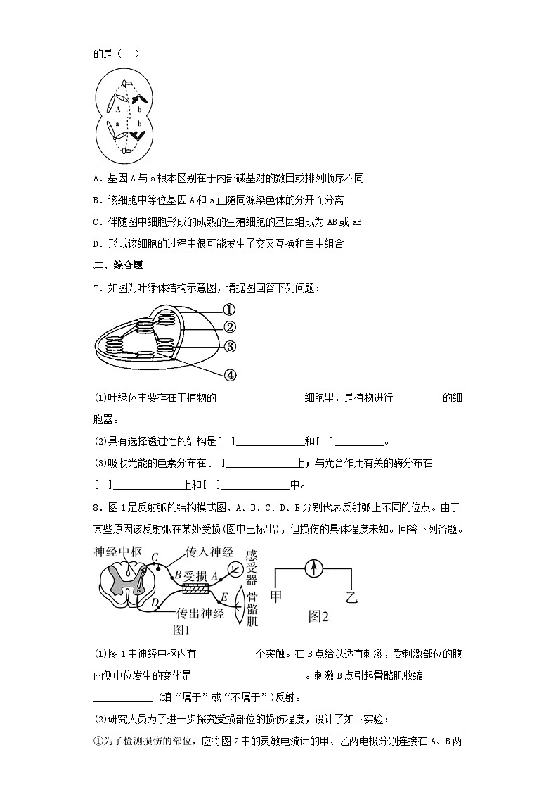 2023届贵州省高三下学期第一次模拟考试理综生物试卷（含解析）02