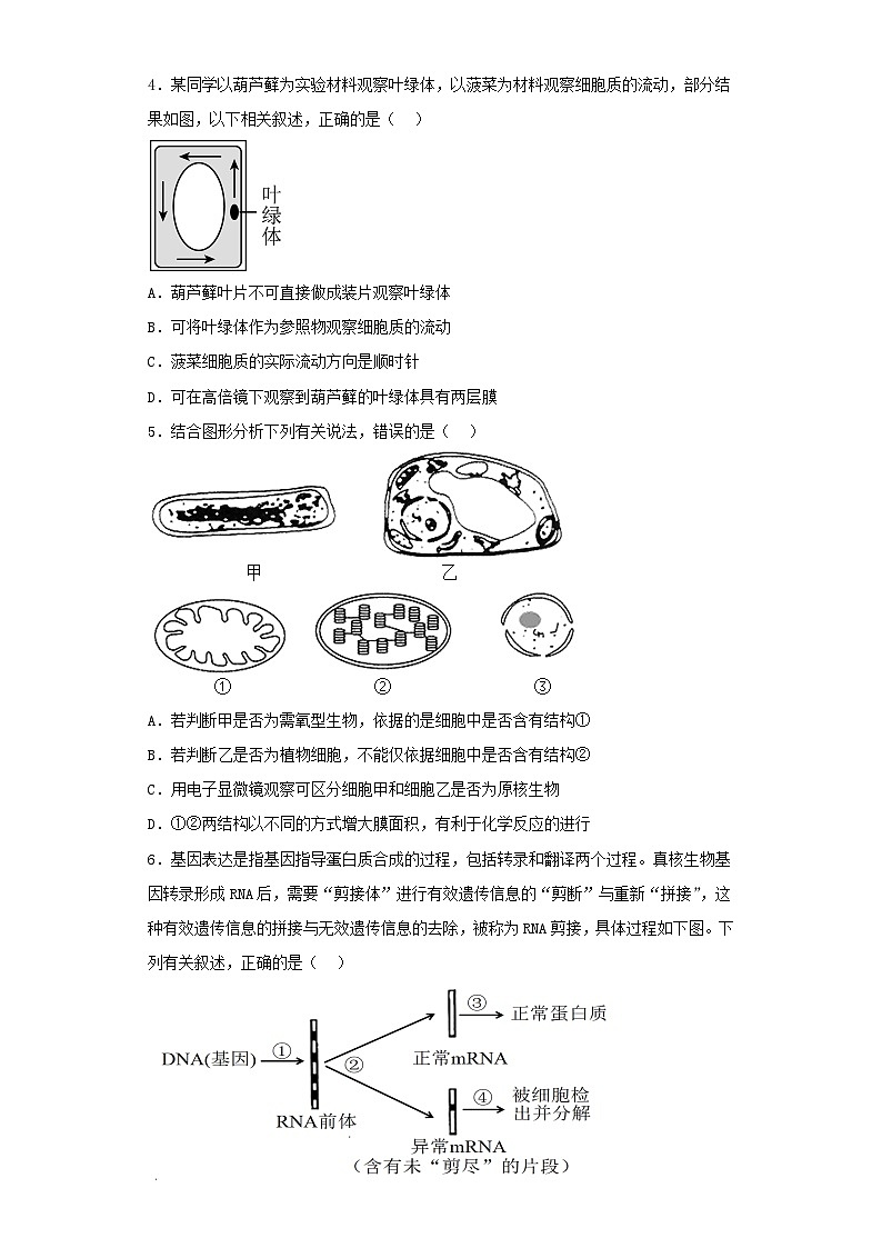 2022-2023学年四川高三第三次模拟考试理综生物试卷（含解析）第2页