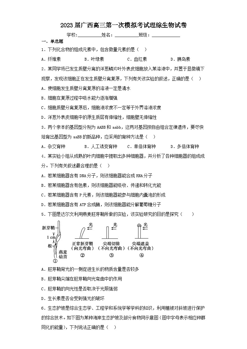 2023届广西高三第一次模拟考试理综生物试卷（含解析）01