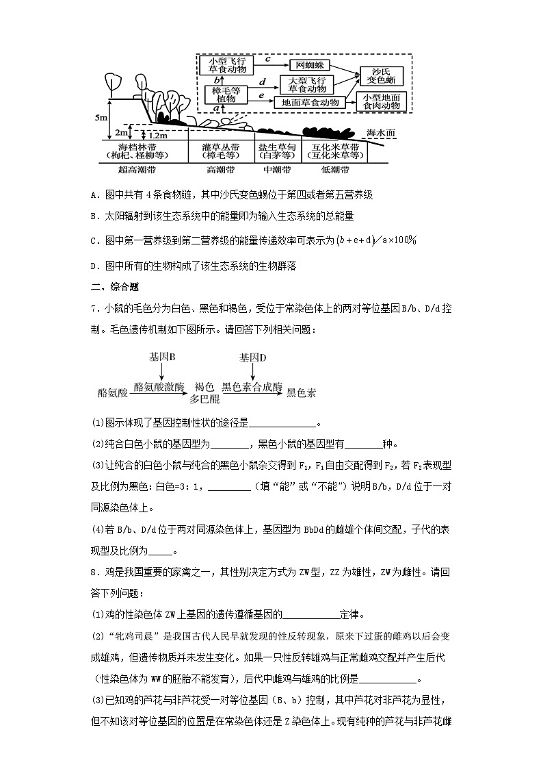 2023届广西高三第一次模拟考试理综生物试卷（含解析）02