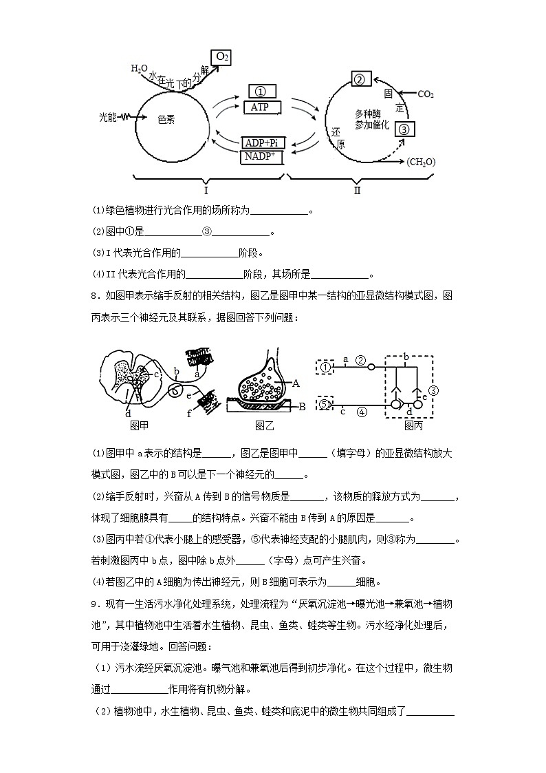 2023届黑龙江省高三第一次模拟考试理综生物试卷（含解析）第2页