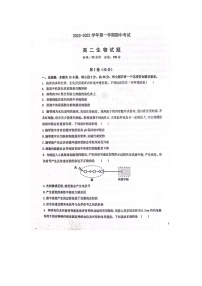 山东省聊城第一中学2022-2023学年高二上学期11月期中考试生物试题