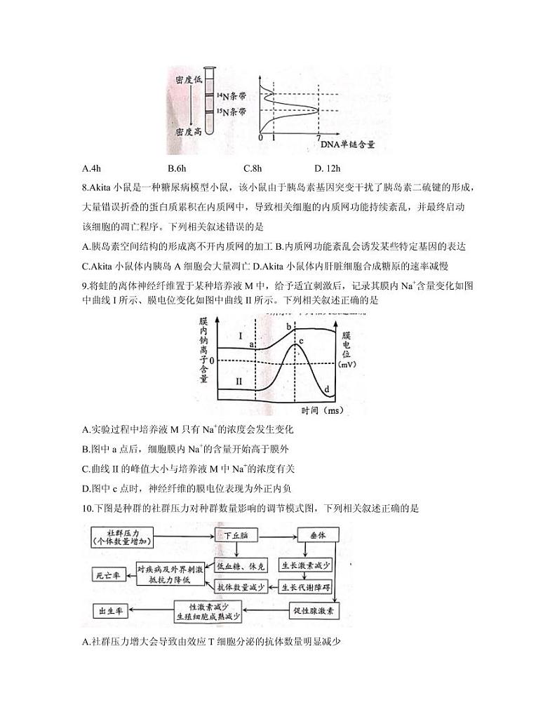 2021届江苏省扬州市高三下学期期初调研测试生物试题 PDF版03