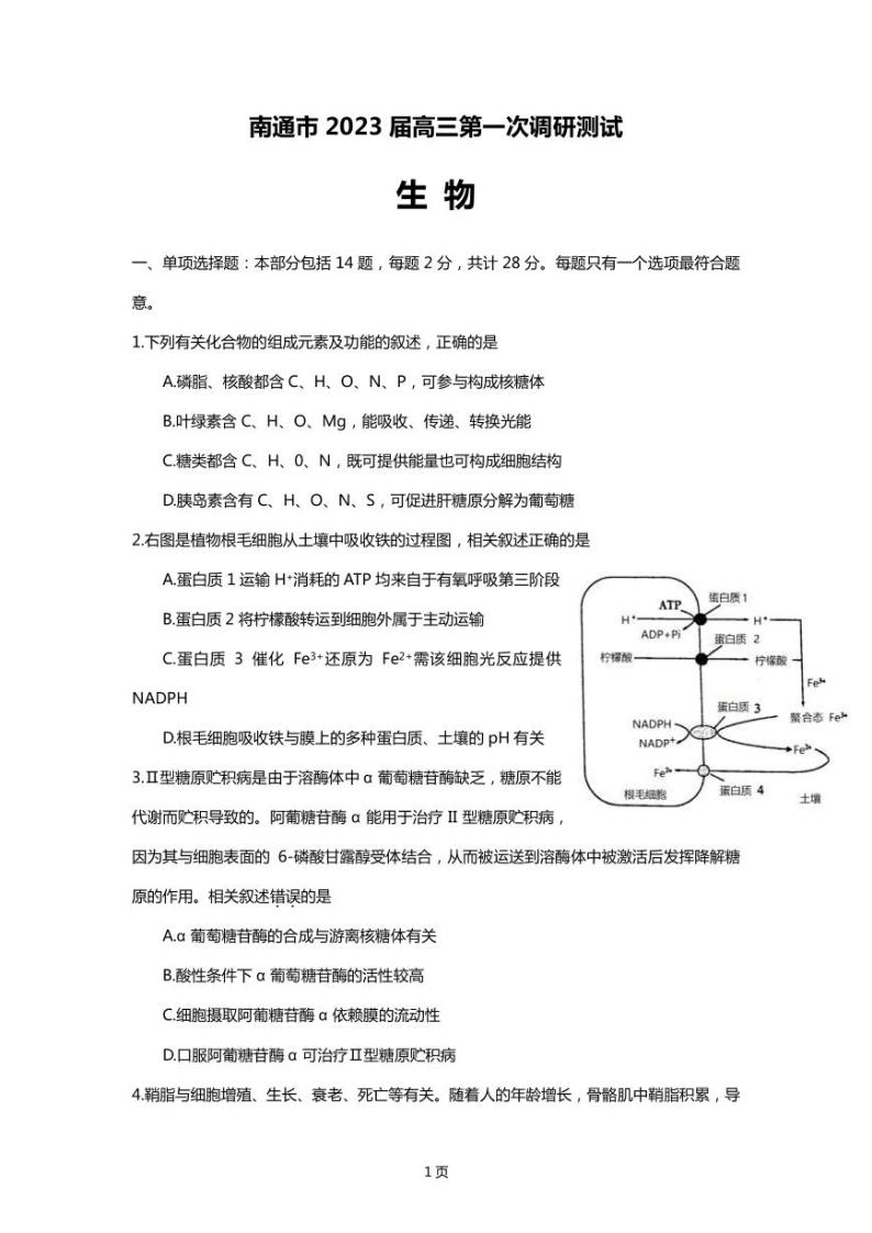 江苏省南通市2023届高三下学期2月第一次调研测试（一模） 生物（PDF版）01