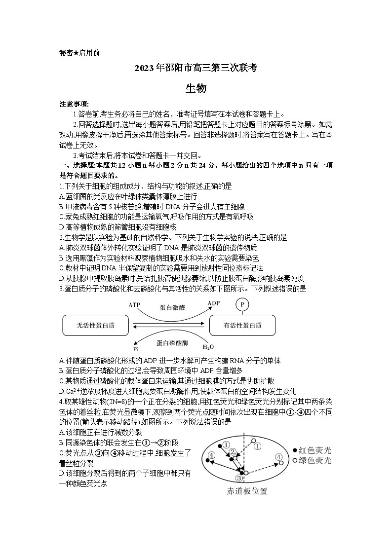 2023届湖南省邵阳市高三第三次联考（三模）生物试题及其答案第1页