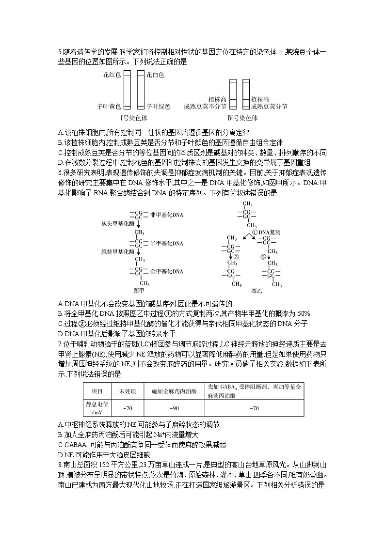 2023届湖南省邵阳市高三第三次联考（三模）生物试题及其答案第2页