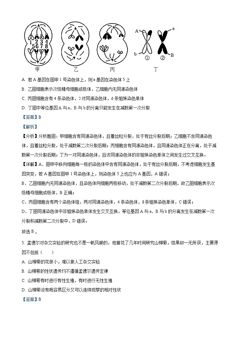江苏省南京师范大学附属中学2022-2023学年高一生物下学期期中试题（Word版附解析）03